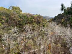 -玉渡山自然风景区