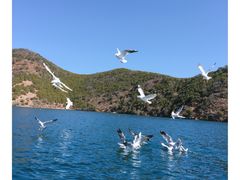 -丽江泸沽湖景区-里格半岛