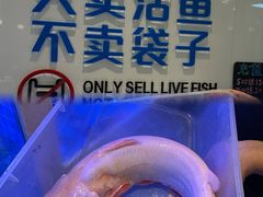 -渔珺石锅鱼(天泽街店)