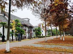 -太阳岛度假酒店