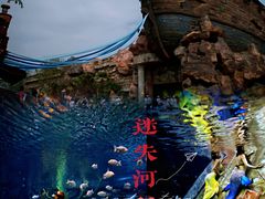 -郑州银基国际旅游度假区