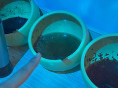 -碗中海·蒸汽海鲜·桑拿鸡(岭南天地店)