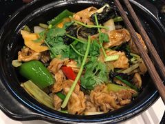 -丰食农家乐