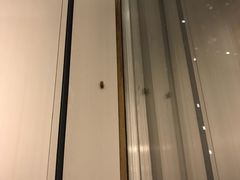 -上海新锦江大酒店