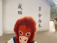 -长洲岛