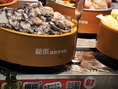 -龍歌自助小火锅(秦淮水游城店)