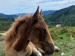 -灵山
