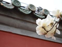 -德胜公园