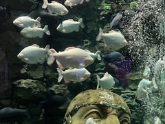 -成都浩海立方海洋公园