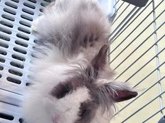 -小意思咖啡店(草桥店)