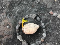 -夏威夷火山国家公园