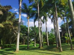 -中国科学院西双版纳热带植物园
