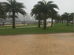 -野狸岛