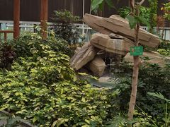 -南宫五洲植物乐园