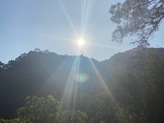 -羚羊峡古栈道森林公园