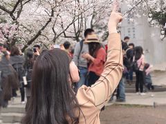 -武汉大学-樱园