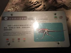 -自贡恐龙博物馆