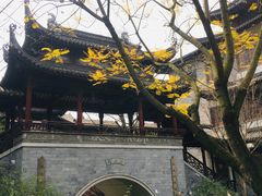 -龙潭水乡