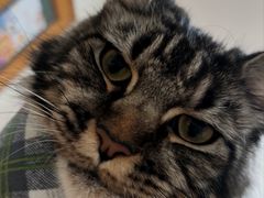 -生火火·地摊小炉子烧烤(龙湖北城金冠店)