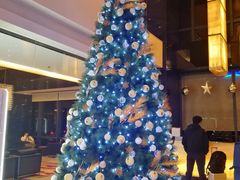 -上海龙之梦万丽酒店