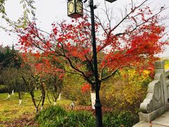 -白马涧龙池景区
