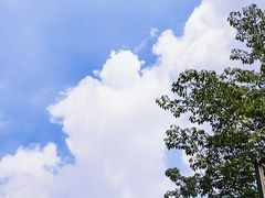 -阿杏饭团(悦汇城店)