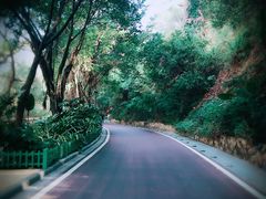 -金鸡山公园