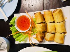 炸春卷-Kat's Kitchen