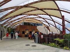 -怀托摩萤火虫洞