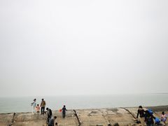 -东疆建设开发纪念公园