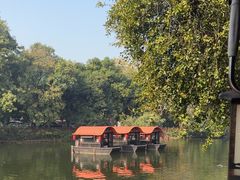 -侨美·唐荔园·40年地道粤菜