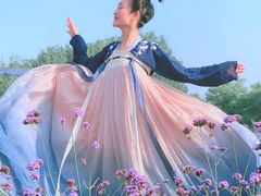 -北京东方普罗旺斯薰衣草庄园