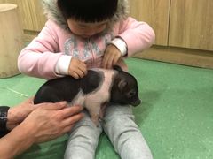 -藦茜花园宠物主题亲子互动体验馆(国顺东路店)