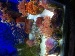 android_upload_pic-南昌海洋公园