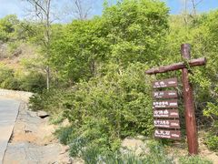 -北京西山国家森林公园