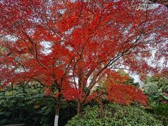 -南通博物苑-崇川人民公园