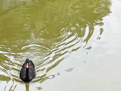 -颐和园
