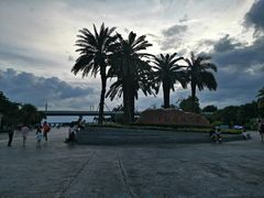 -宝安西湾红树林湿地公园