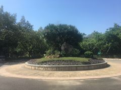 -滴水岩森林公园