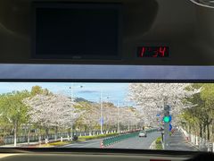 -绿城千岛湖喜来登度假酒店