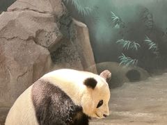 -苏州太湖国家湿地公园