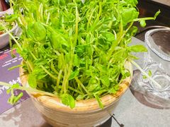 -牛村来人潮汕牛肉火锅(西单店)