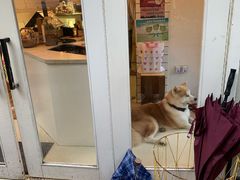 -餐酒吧Com-ing Bar(上海路店)