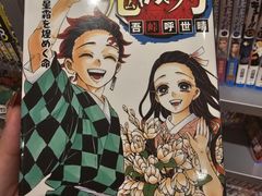 -秋叶原电器街