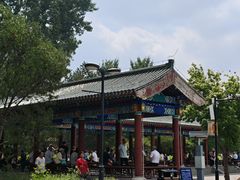 -莲花池公园