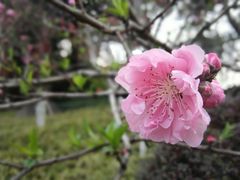 -乌山风景区