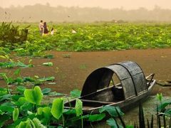 -白鹭湾湿地公园