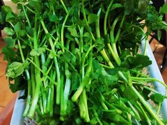 西洋菜-海南東山羊莊(黄石分店)