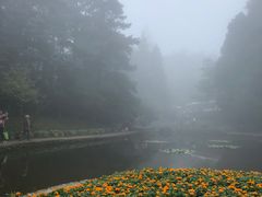 -庐山风景区花径公园