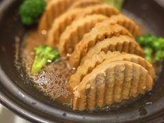 -许昌·禹州启元铂爵酒店(禹州胖东来店)